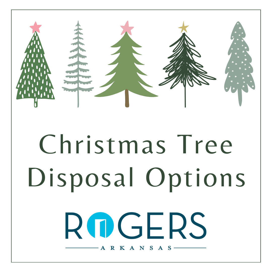Christmas Tree Disposal Options