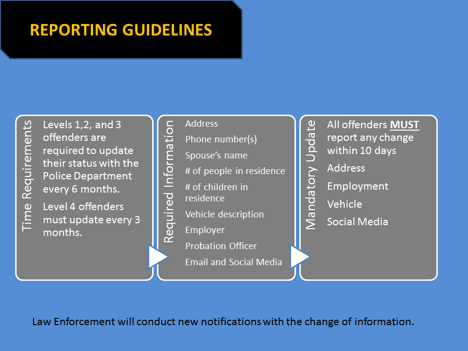 Reporting Guidelines Graphic